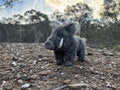DLU Grey Plains Boar