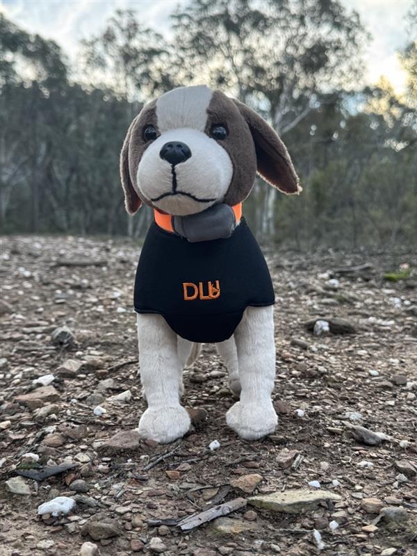 DLU Hunting Dog