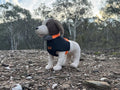 DLU Hunting Dog