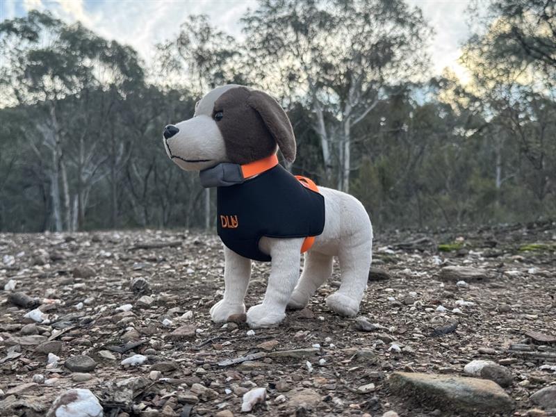 DLU Hunting Dog