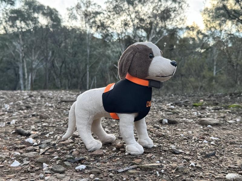 DLU Hunting Dog