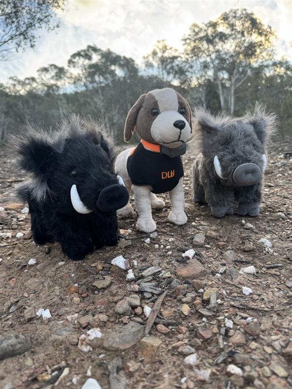 DLU Hunting Trio
