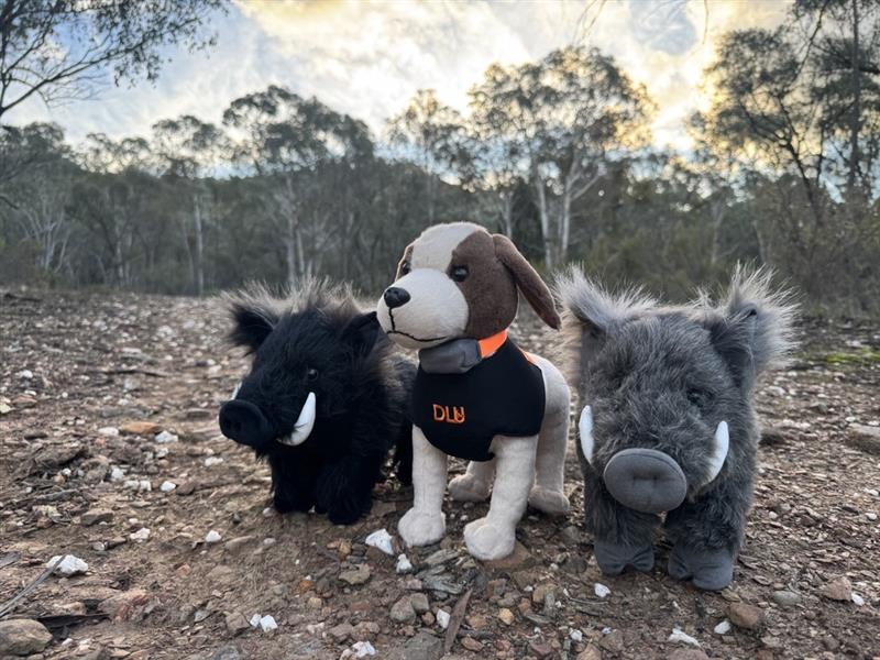 DLU Hunting Trio